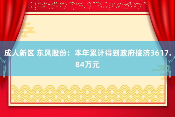 成人新区 东风股份：本年累计得到政府接济3617.84万元