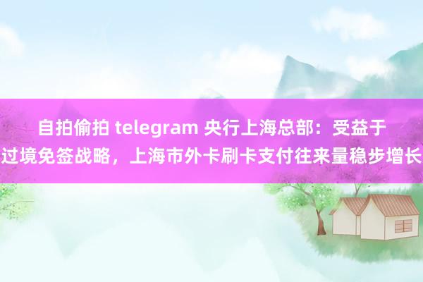 自拍偷拍 telegram 央行上海总部：受益于过境免签战略，上海市外卡刷卡支付往来量稳步增长