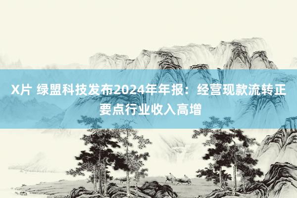 X片 绿盟科技发布2024年年报：经营现款流转正 要点行业收入高增