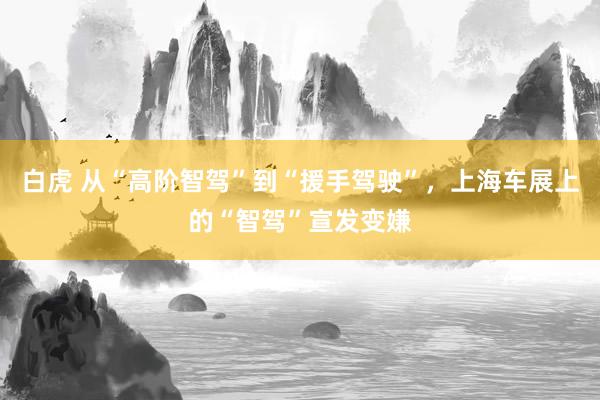 白虎 从“高阶智驾”到“援手驾驶”，上海车展上的“智驾”宣发变嫌