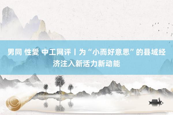 男同 性愛 中工网评丨为“小而好意思”的县域经济注入新活力新动能